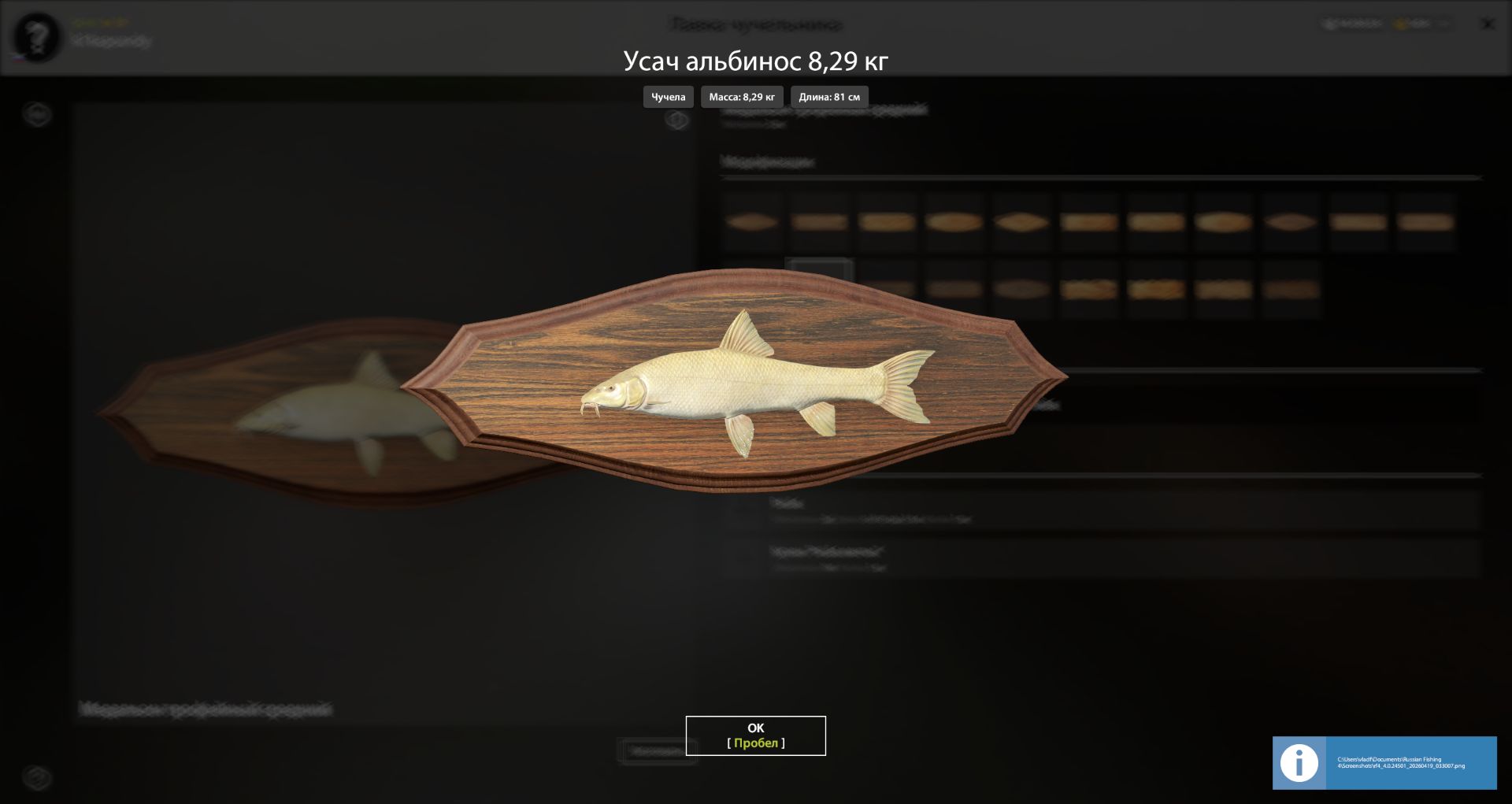 Улов (Усач альбинос) на #трофей_rf4map в RF4