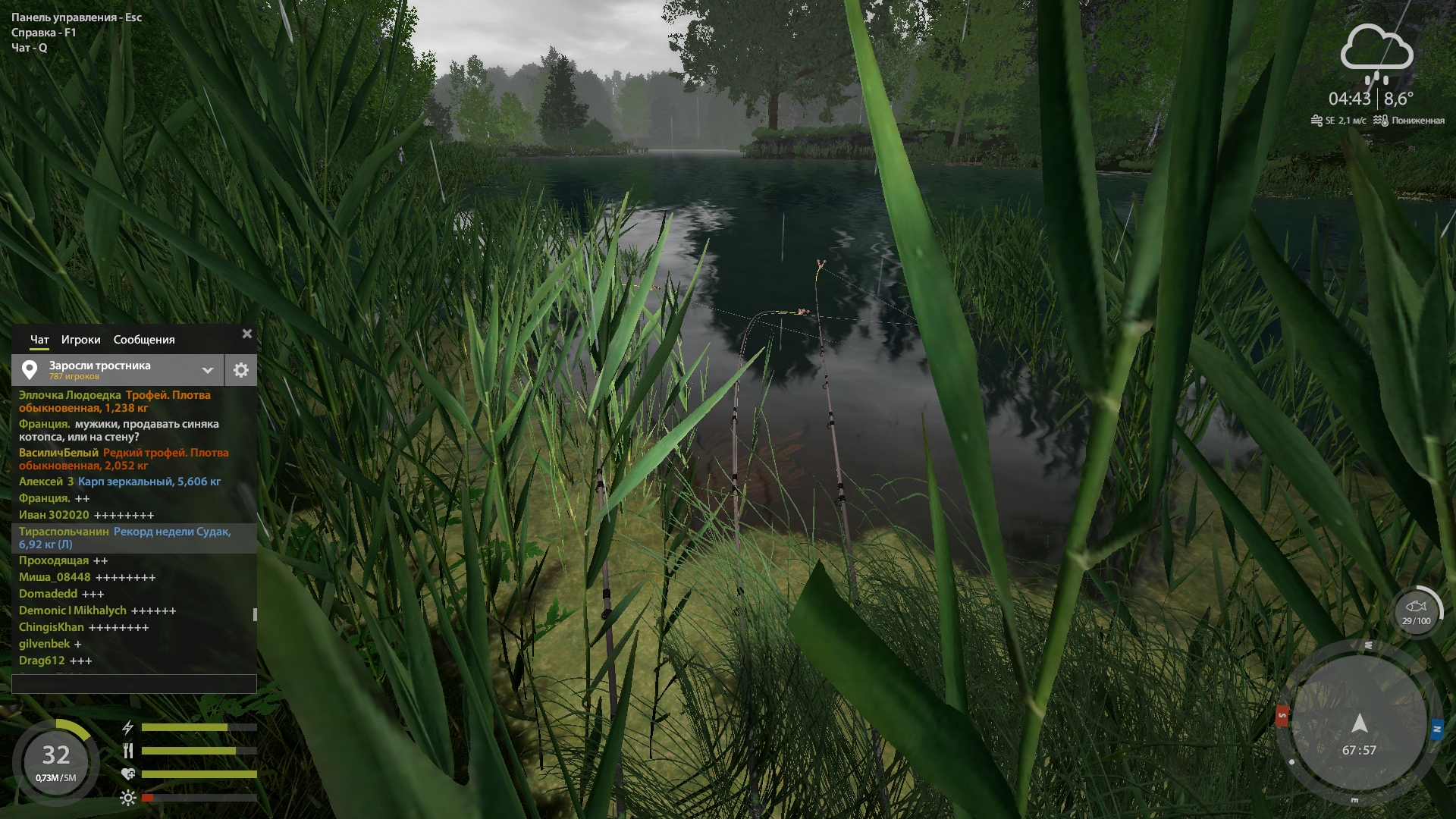 Улов (Плотва обыкновенная) на #трофей_rf4map в RF4