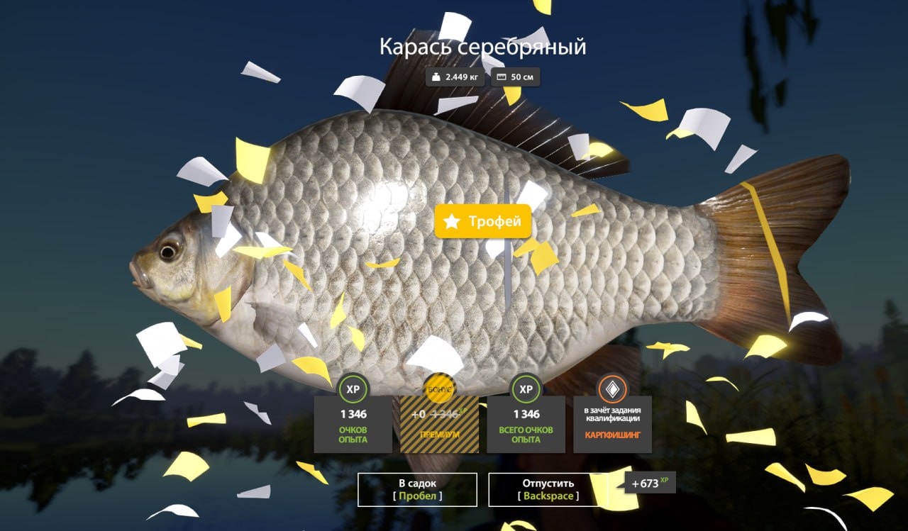 Улов (Карась серебряный) на #трофей_rf4map в RF4