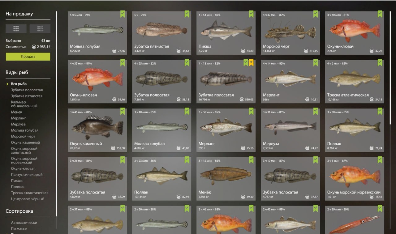 Улов (Зубатка полосатая) на #трофей_rf4map в RF4