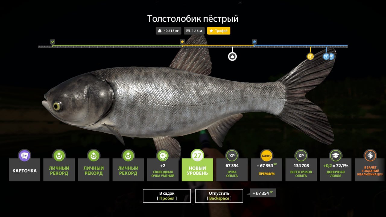 Улов (Толстолобик пёстрый) на #трофей_rf4map в RF4