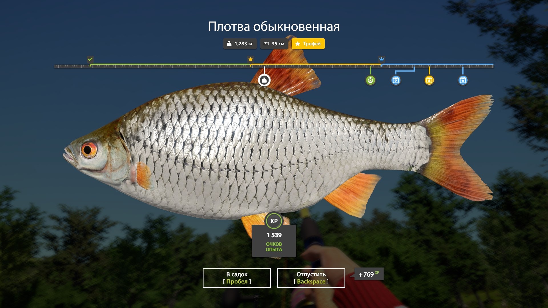 Улов (Линь, Плотва обыкновенная) на #трофей_rf4map в RF4