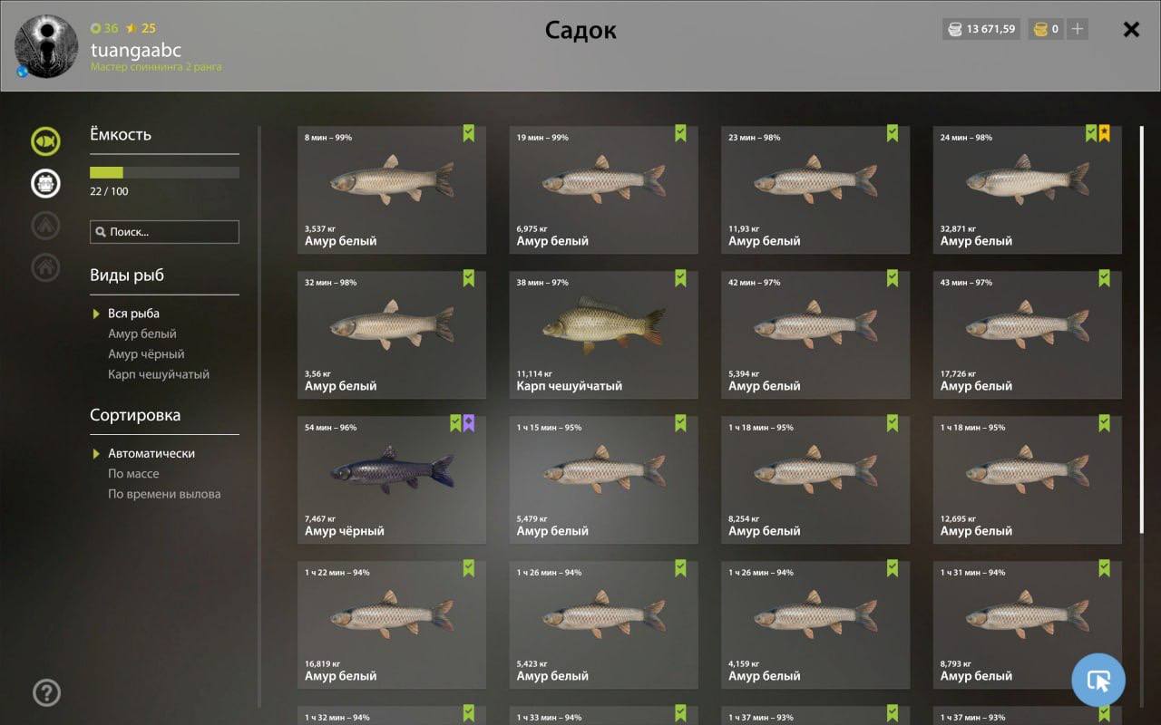 Улов (Амур белый) на #трофей_rf4map в RF4