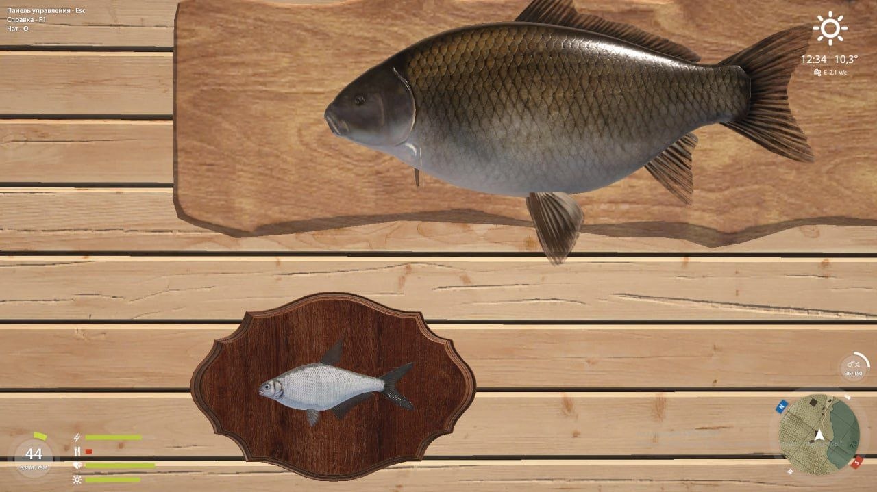 Улов (Белоглазка) на #трофей_rf4map в RF4