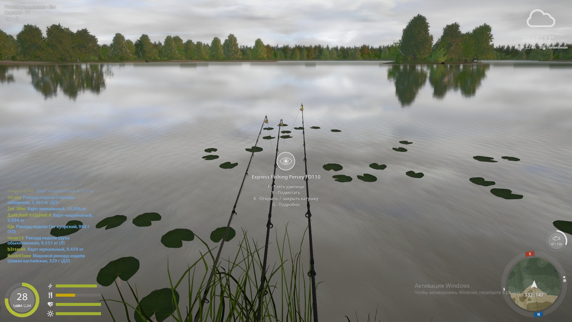 Улов (Карп чешуйчатый) на #янтарное_rf4map в RF4