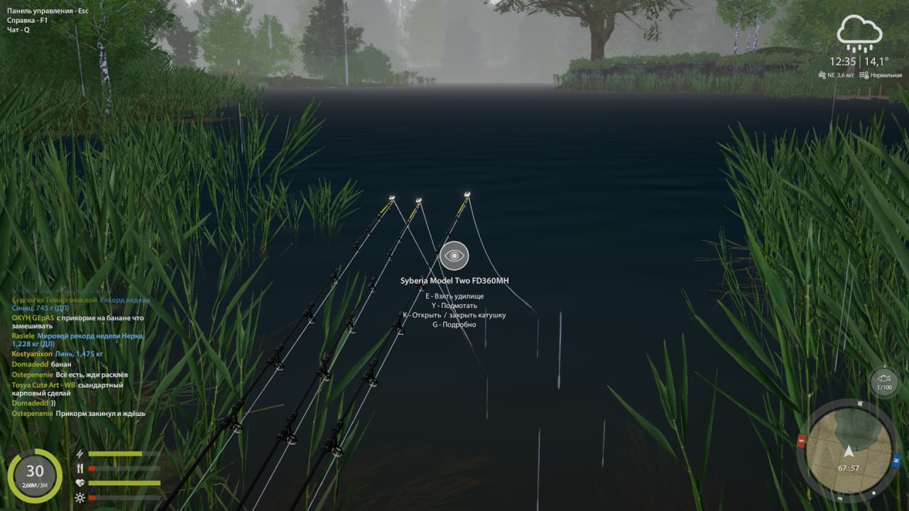 Улов (Разнорыбица, Линь Квольсдорфский) на #трофей_rf4map в RF4