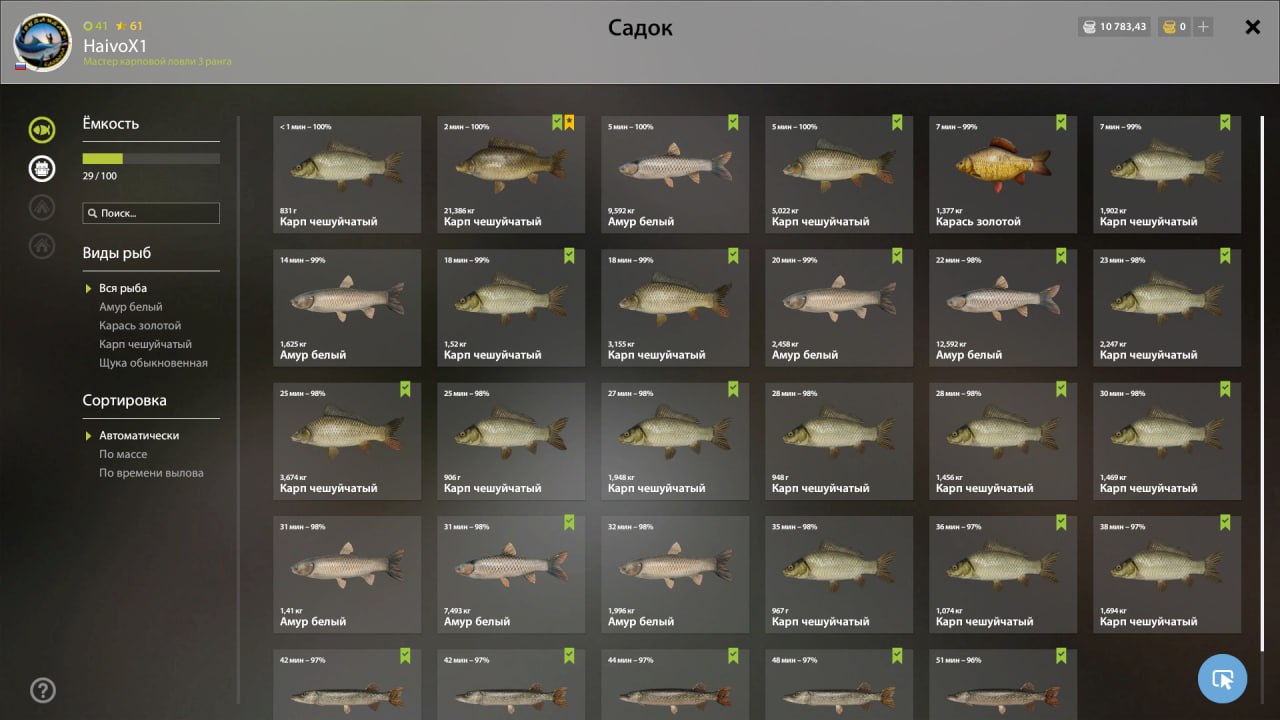 Улов (Карп чешуйчатый) на #трофей_rf4map в RF4