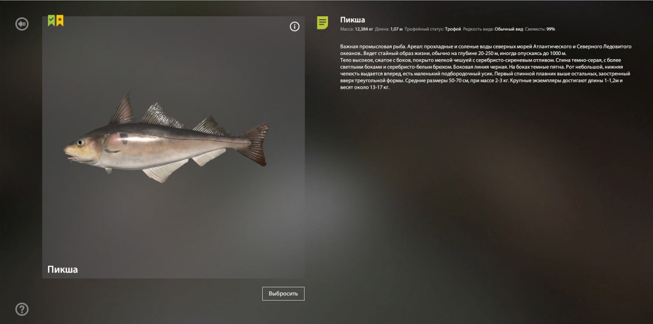 Улов (Пикша) на #трофей_rf4map в RF4