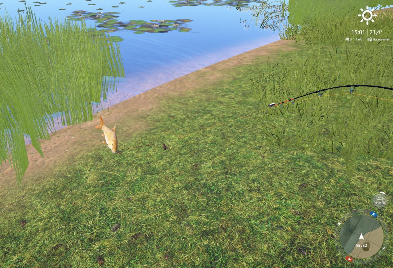 Улов (Усач обыкновенный) на #трофей_rf4map в RF4