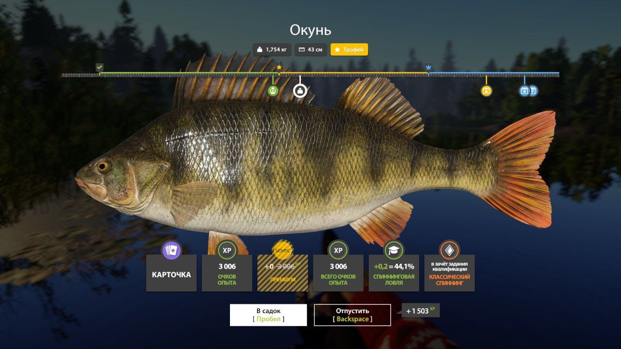 Улов (Окунь) на #трофей_rf4map в RF4