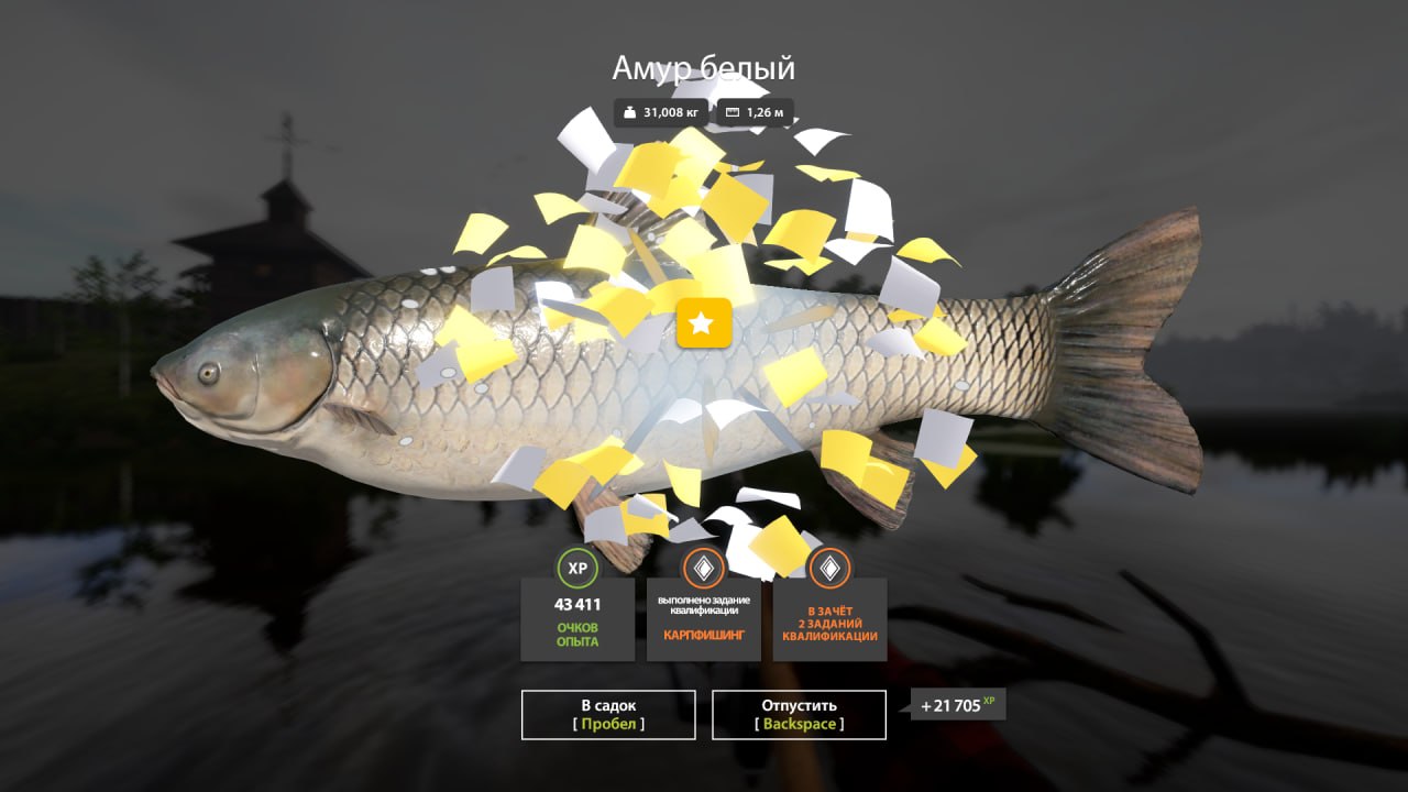 Улов (Амур белый) на #трофей_rf4map в RF4