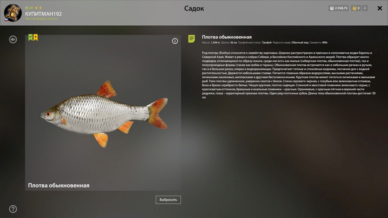Улов (Плотва обыкновенная) на #трофей_rf4map в RF4