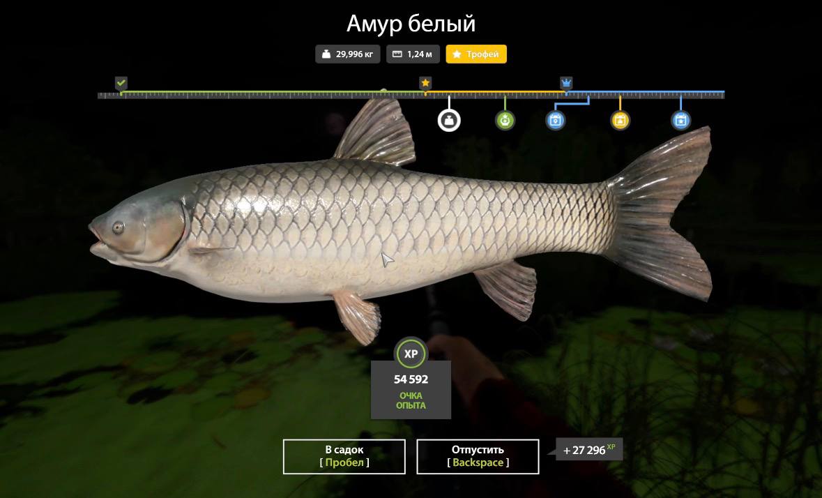 Улов (Амур белый) на #трофей_rf4map в RF4