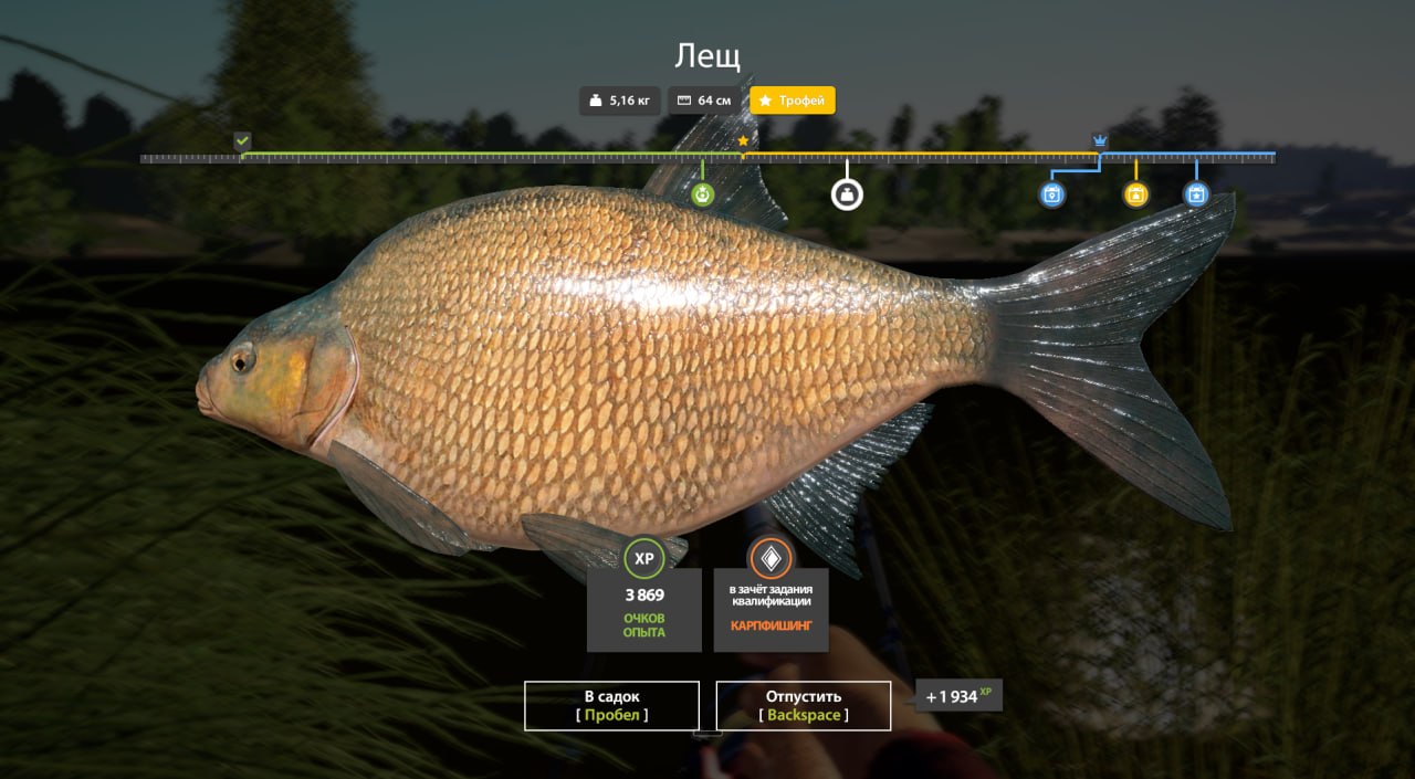 Улов (Лещ) на #трофей_rf4map в RF4