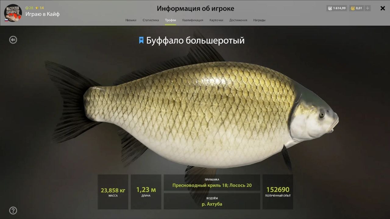 Улов (Буффало большеротый) на #трофей_rf4map в RF4