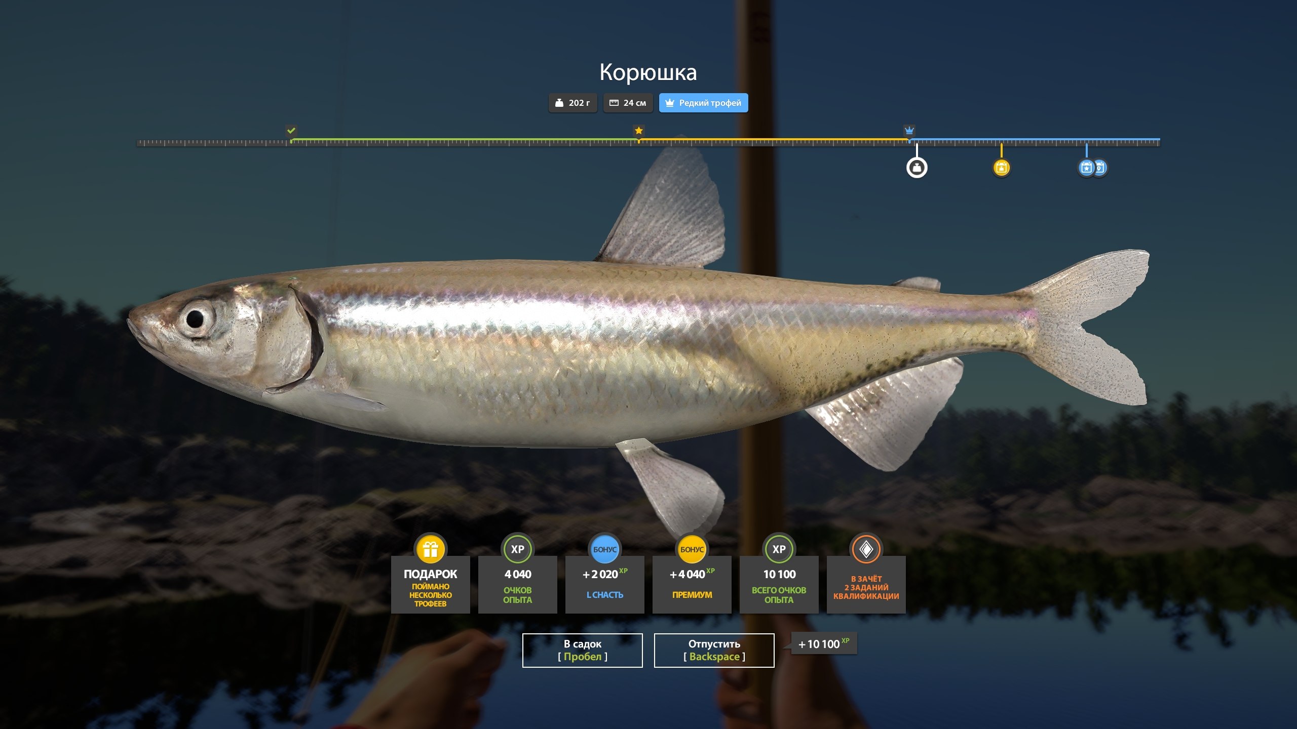 Улов (Корюшка) на #трофей_rf4map в RF4