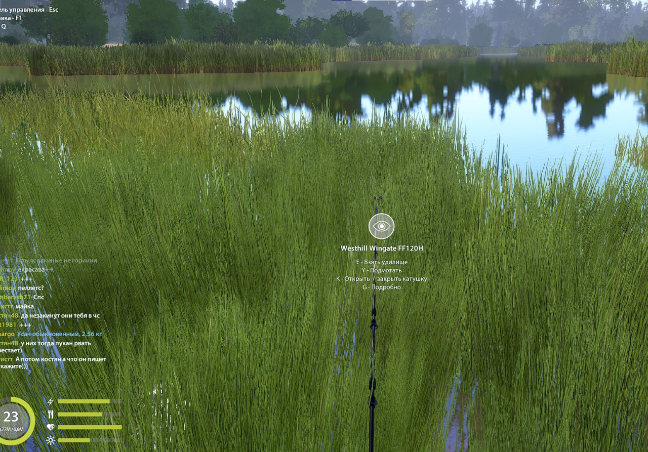 Улов (Усач обыкновенный) на #трофей_rf4map в RF4