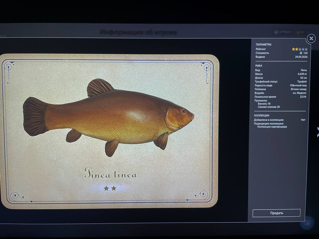 Улов (Линь) на #трофей_rf4map в RF4