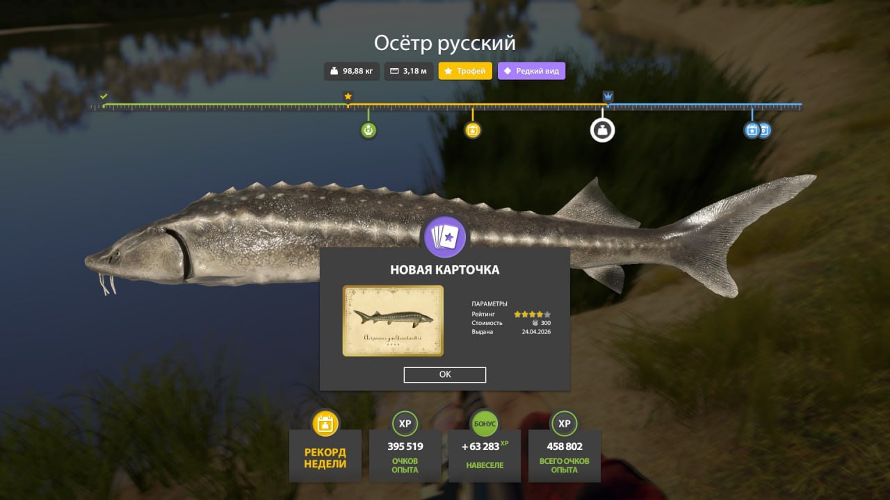 Улов (Осётр русский) на #трофей_rf4map в RF4