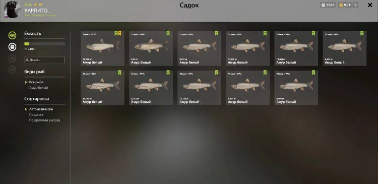 Улов (Амур белый) на #трофей_rf4map в RF4