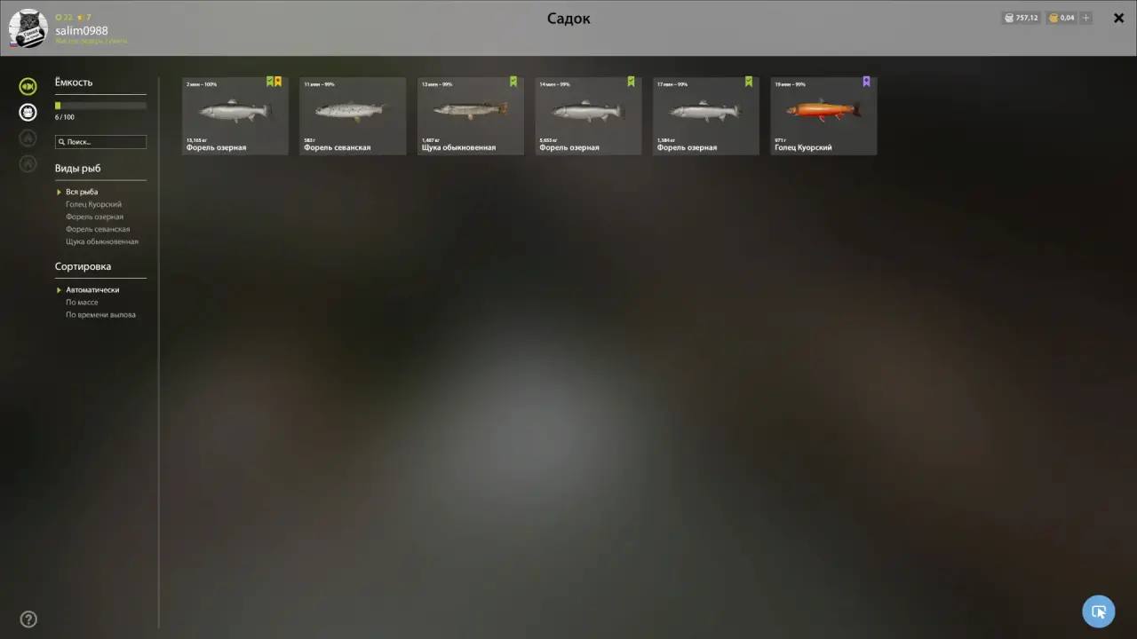 Улов (Форель озерная) на #трофей_rf4map в RF4