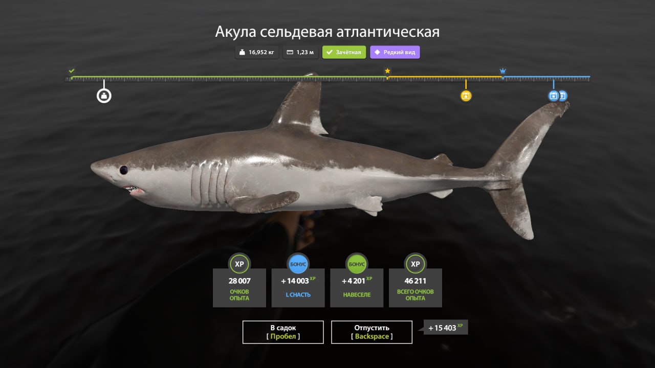 Улов (Разнорыбица) на #фарм_rf4map в RF4