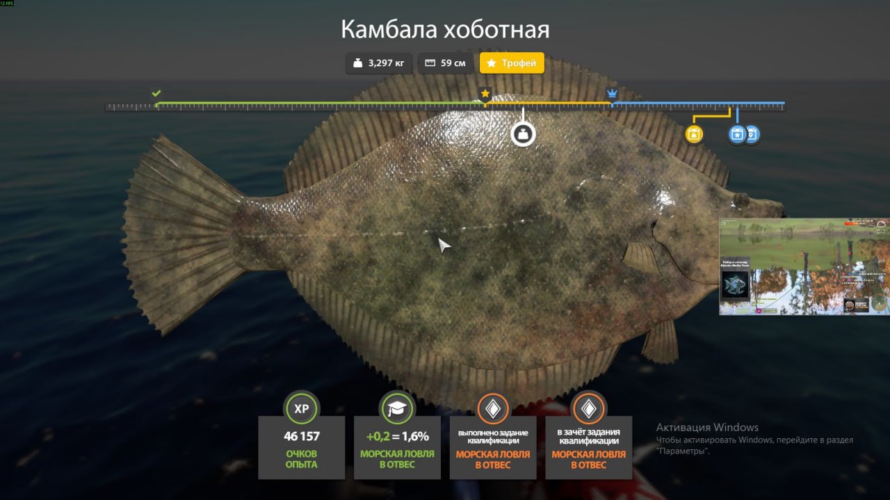 Улов (Камбала хоботная, Скат колючий) на #трофей_rf4map в RF4