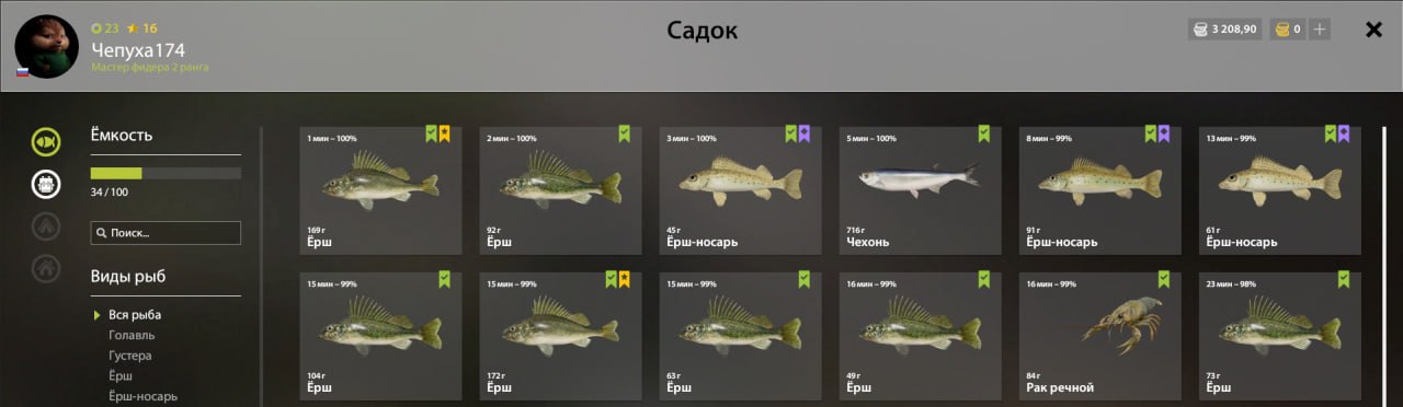 Улов (Ёрш-носарь, Ёрш) на #трофей_rf4map в RF4