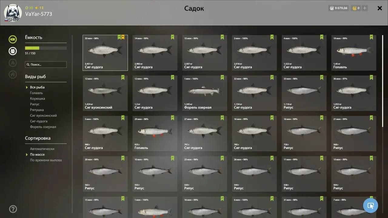 Улов (Сиг-лудога) на #трофей_rf4map в RF4