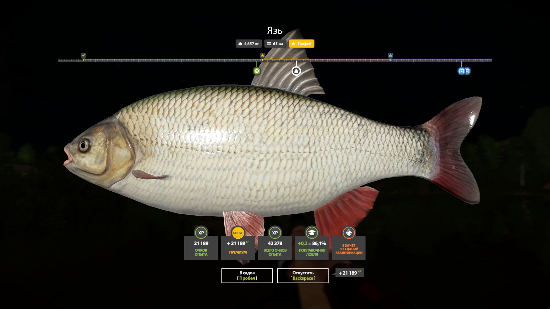 Улов (Язь) на #трофей_rf4map в RF4