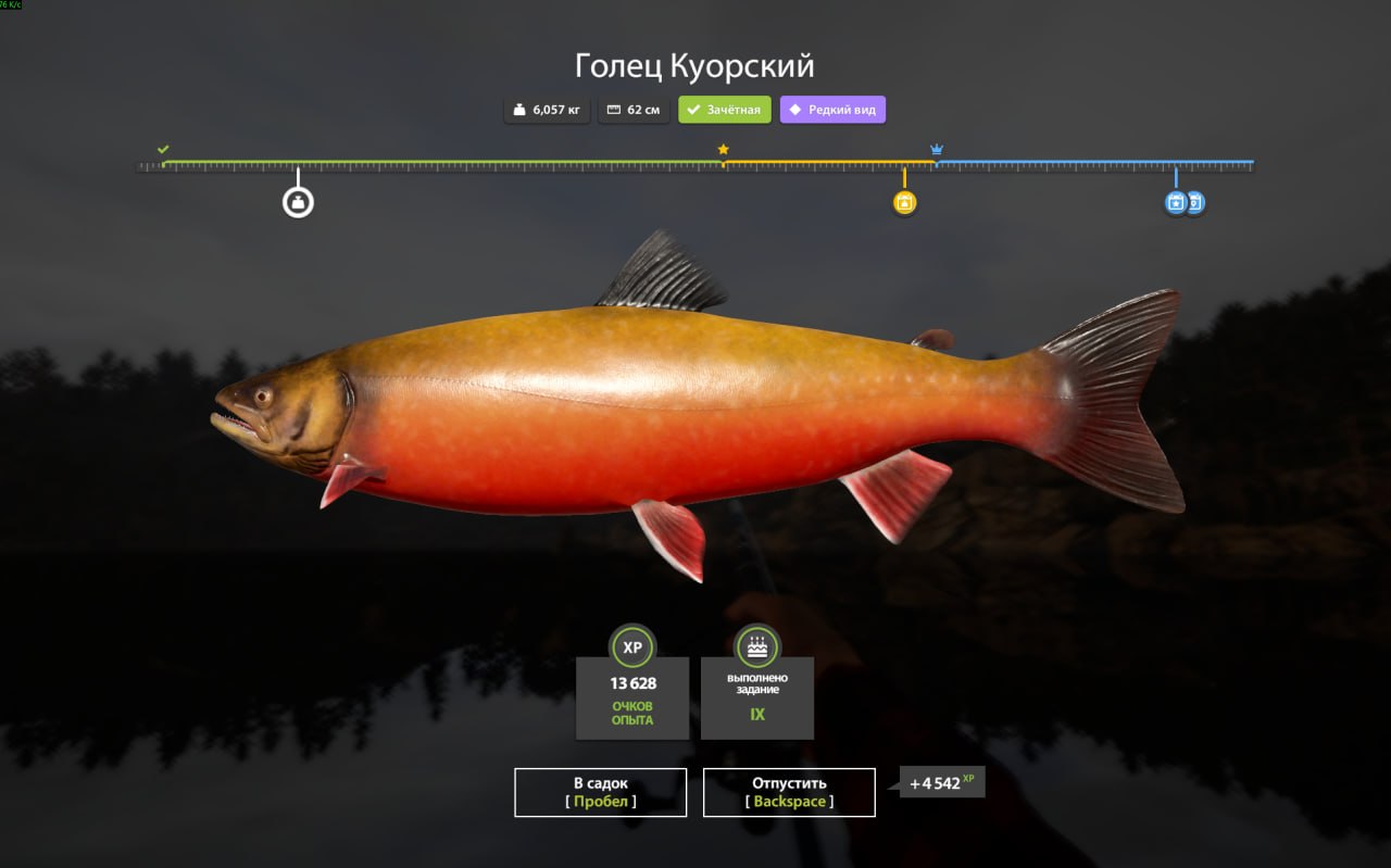 Улов (Голец Куорский) на #задания_rf4map в RF4