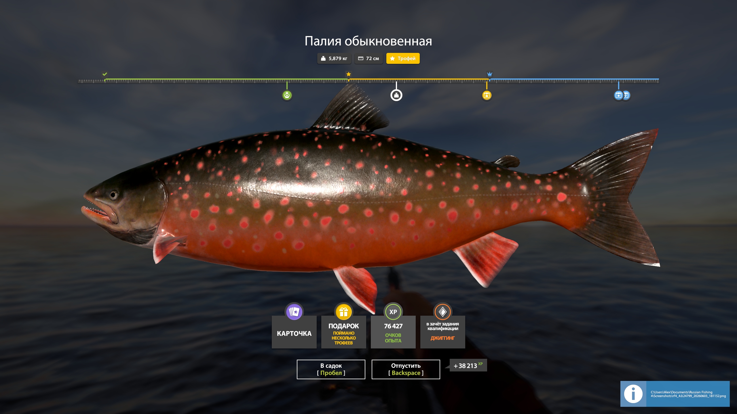 Улов (Палия обыкновенная) на #архипелаг_rf4map в RF4