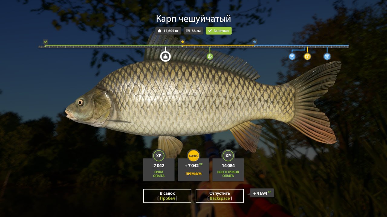 Улов (Карп зеркальный, Карасекарп, Карп чешуйчатый) на #фарм_rf4map в RF4