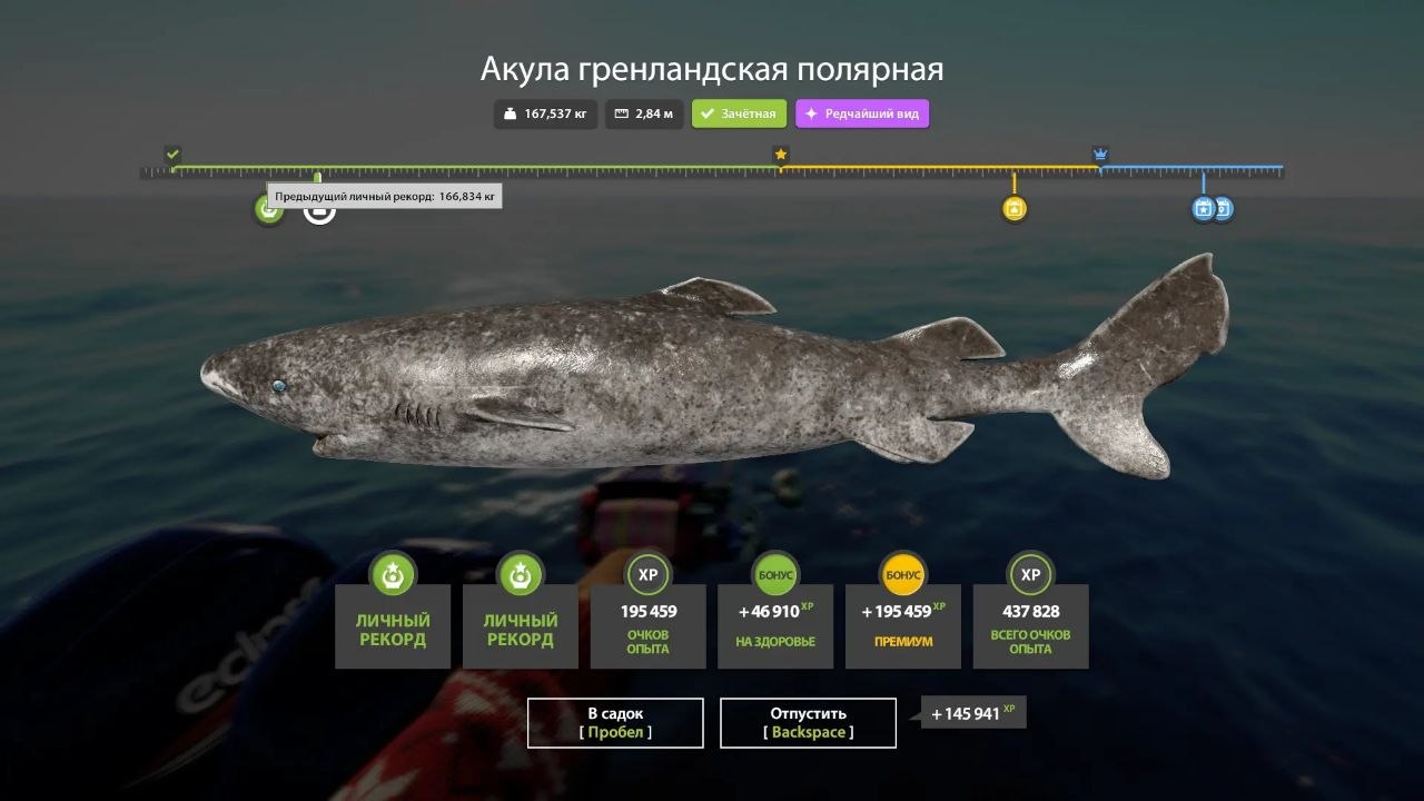 Улов (Акула гренландская полярная, Меч-рыба) на #норвежское_rf4map в RF4
