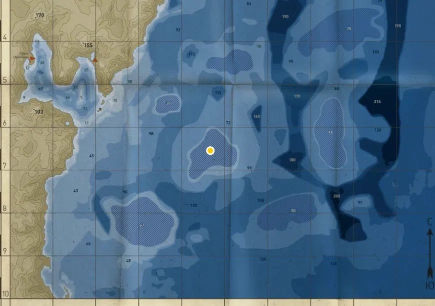 Улов (Камбала морская) на #норвежское_rf4map в RF4