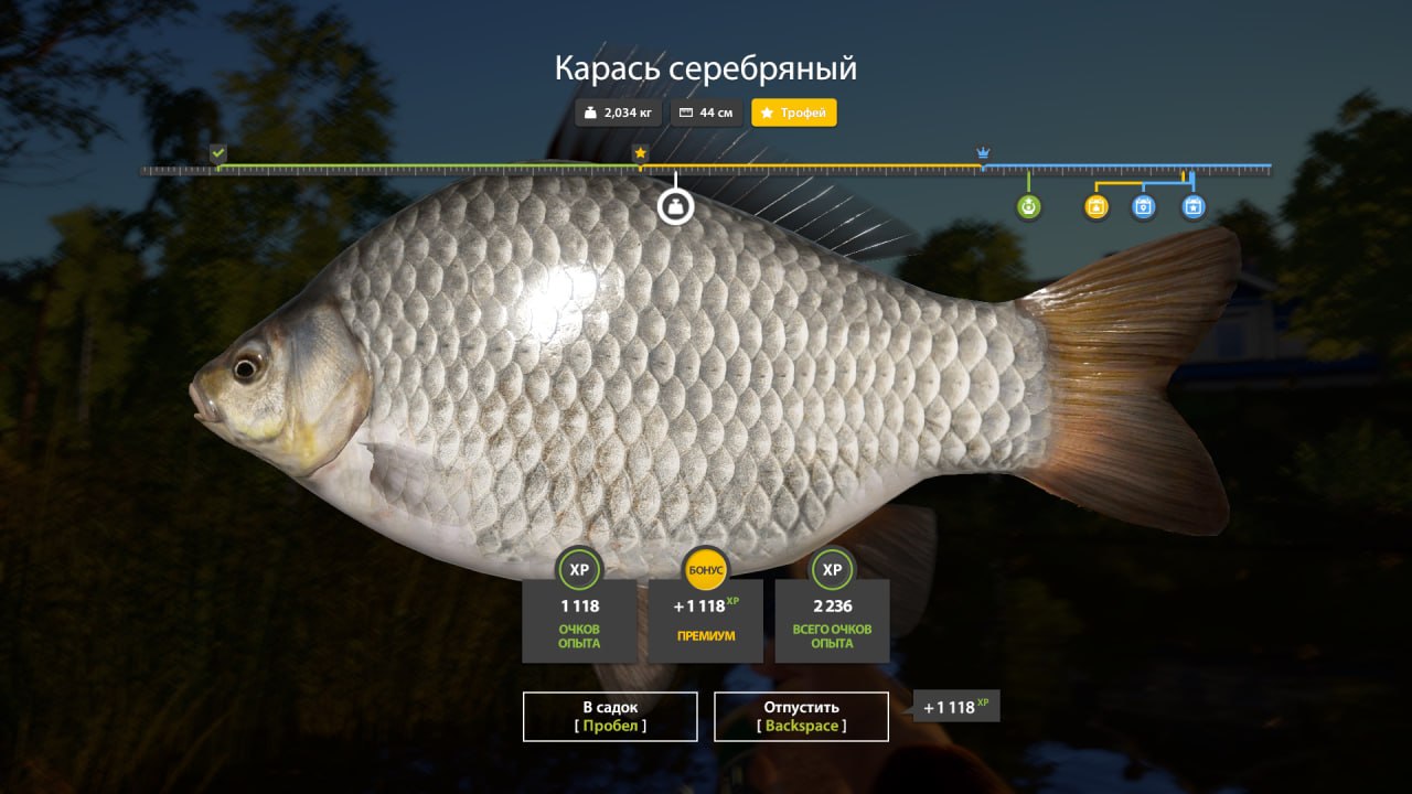 Улов (Карась серебряный) на #трофей_rf4map в RF4