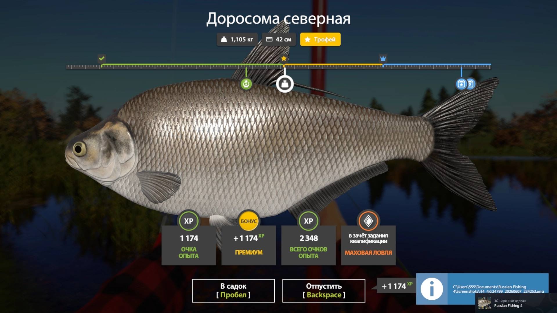 Улов (Доросома северная) на #трофей_rf4map в RF4