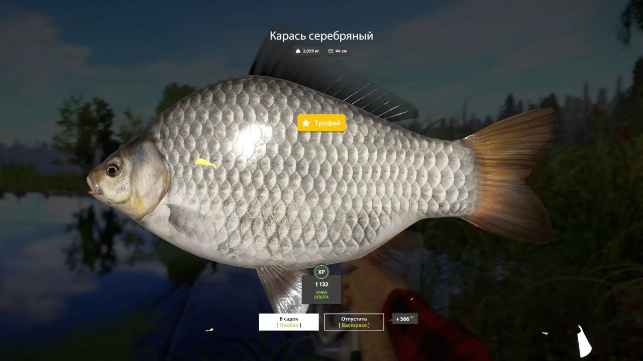 Улов (Амур белый, Амур чёрный, Карась серебряный, Линь) на #трофей_rf4map в RF4