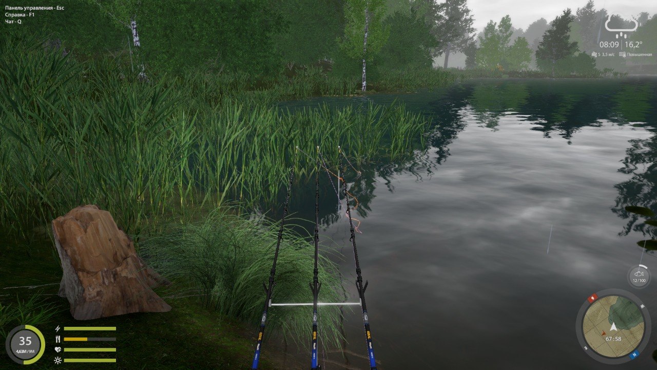 Улов (Линь Квольсдорфский, Разнорыбица) на #фарм_rf4map в RF4