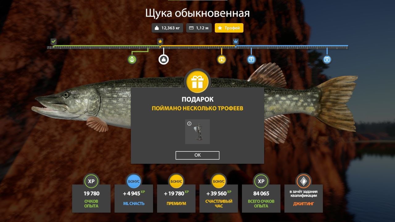 Улов (Щука обыкновенная) на #трофей_rf4map в RF4