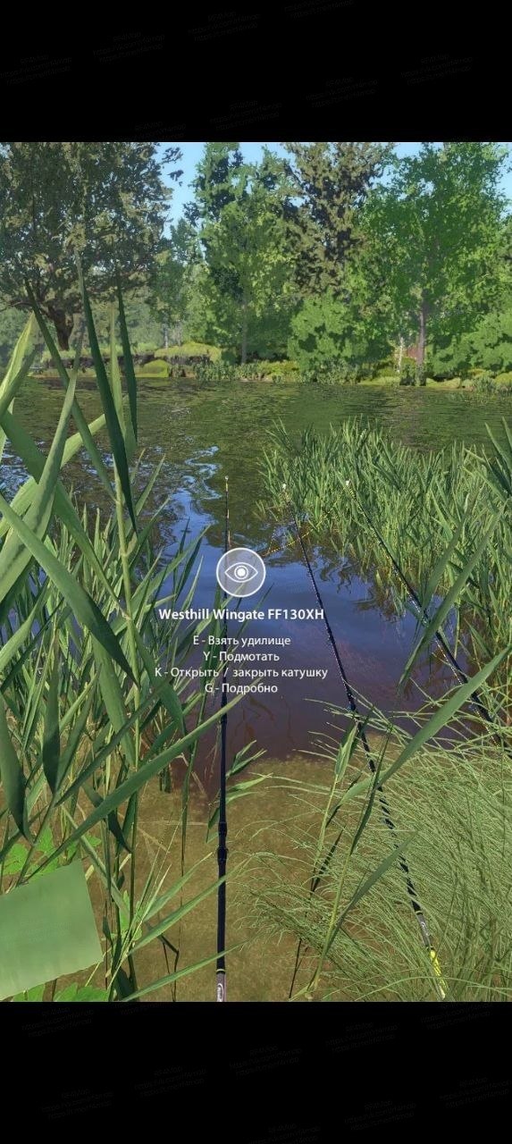 Улов (Линь Квольсдорфский) на #фарм_rf4map в RF4