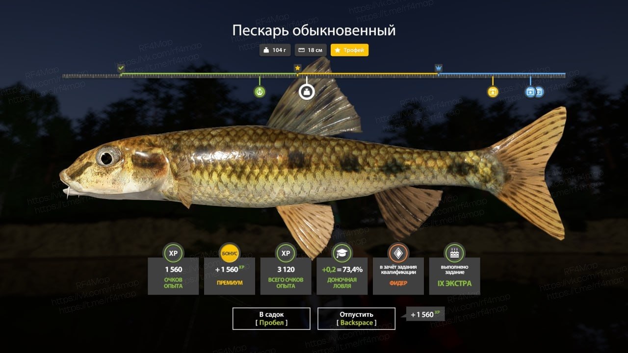 Улов (Белоглазка, Ёрш-носарь) на #трофей_rf4map в RF4