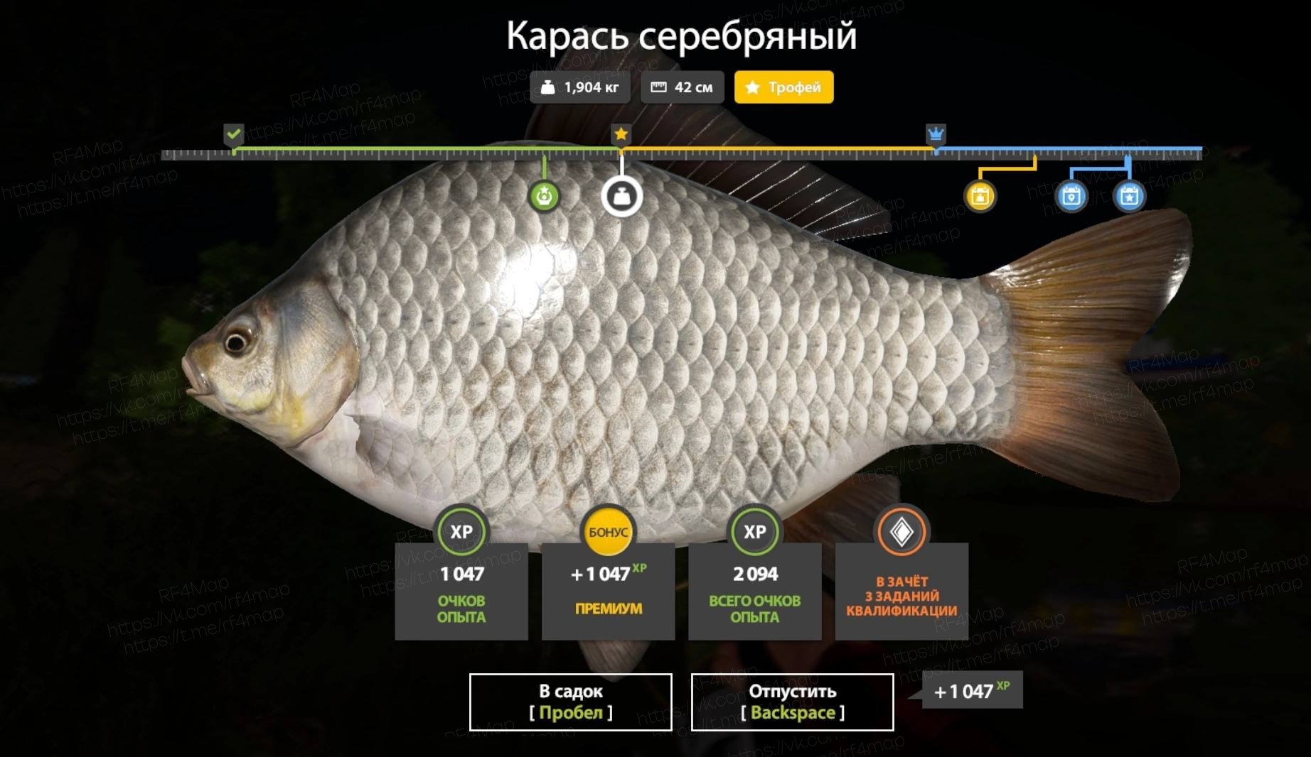 Улов (Карась серебряный) на #трофей_rf4map в RF4