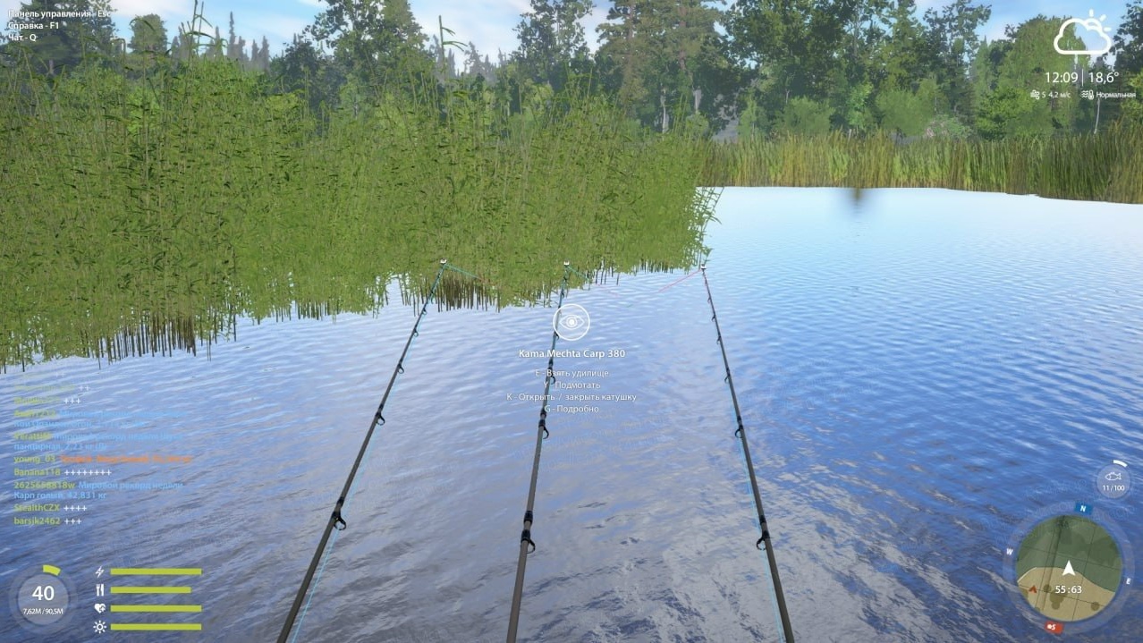 Улов (Амур белый, Амур чёрный, Карп зеркальный) на #трофей_rf4map в RF4