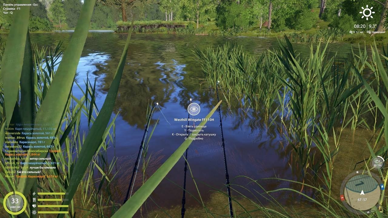 Улов (Карасекарп, Линь Квольсдорфский) на #трофей_rf4map в RF4