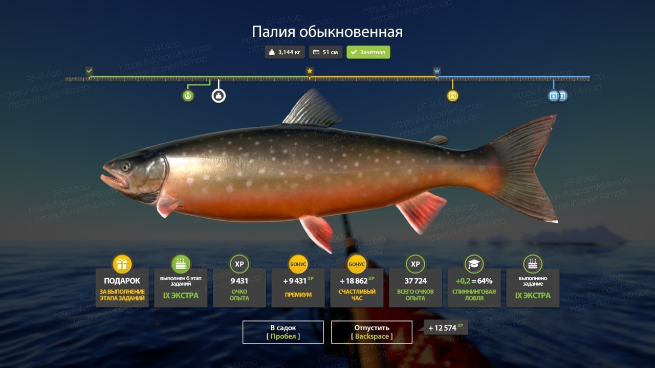 Улов (Палия обыкновенная) на #задания_rf4map в RF4