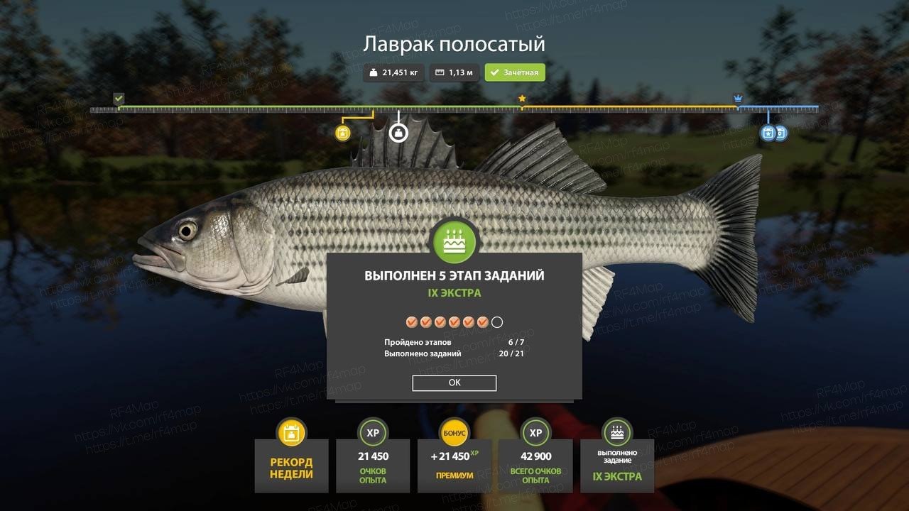 Фото точки