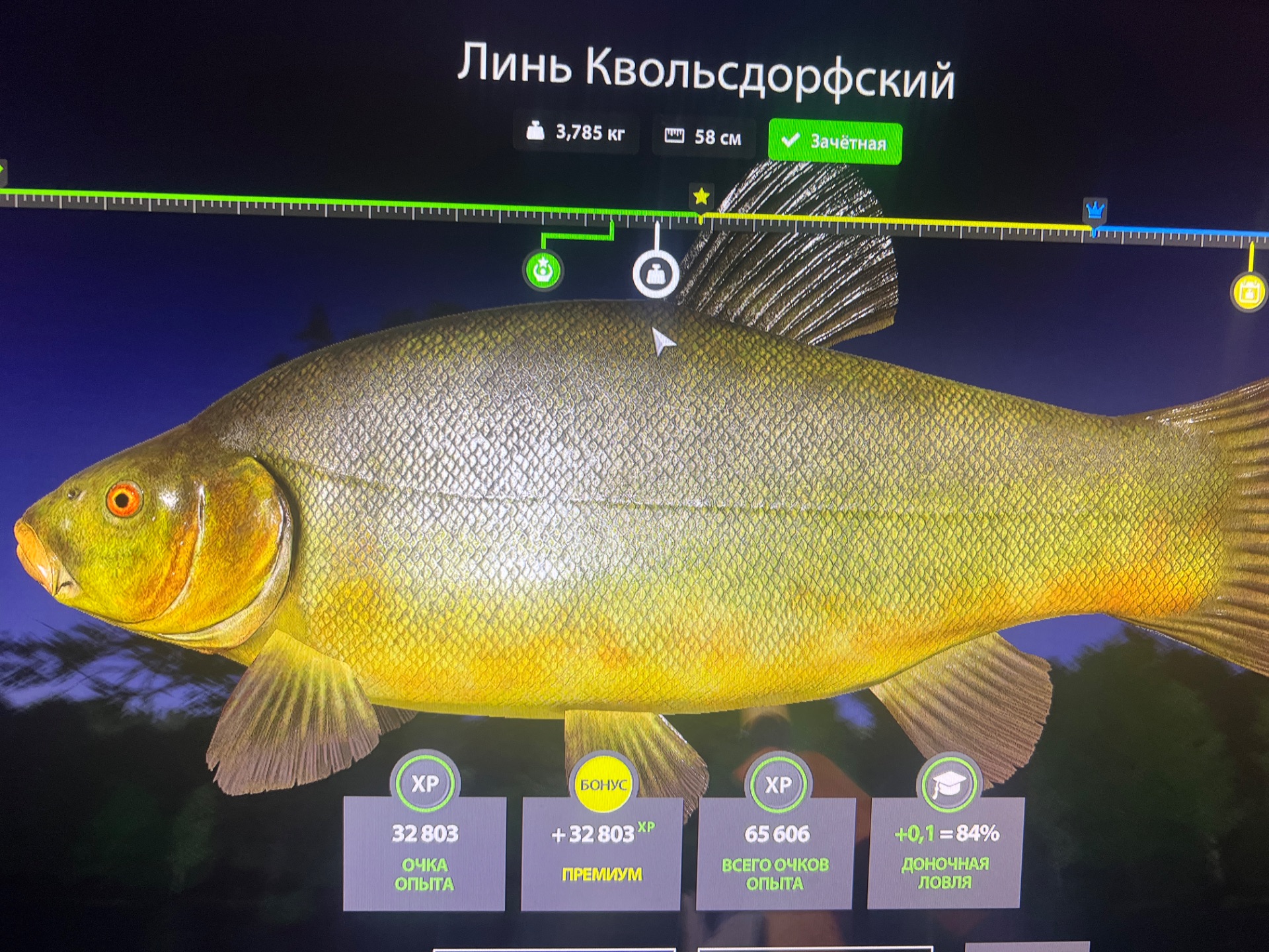 Скриншот точки клева на #трофей_rf4map