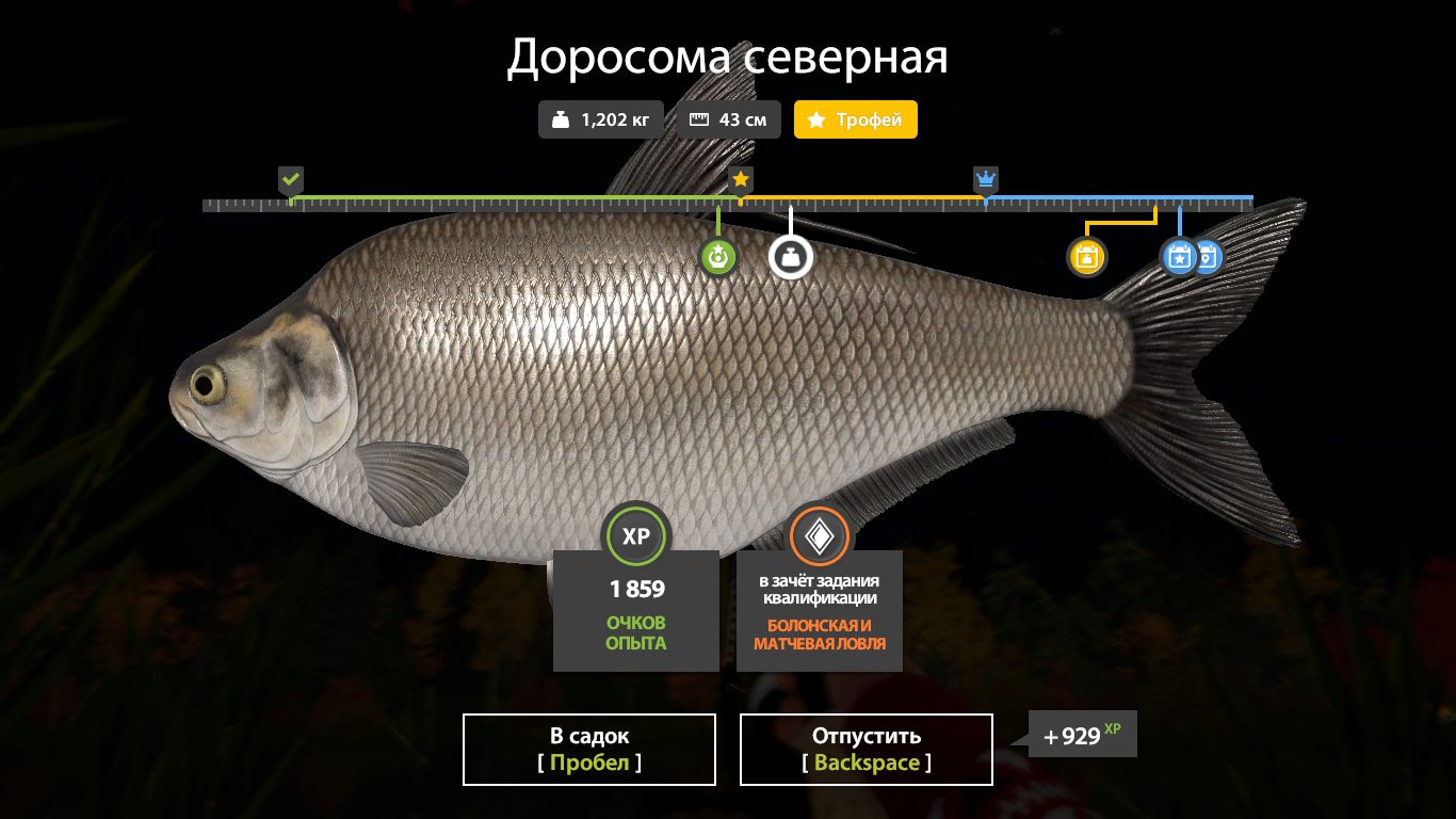 Скриншот точки клева на #трофей_rf4map