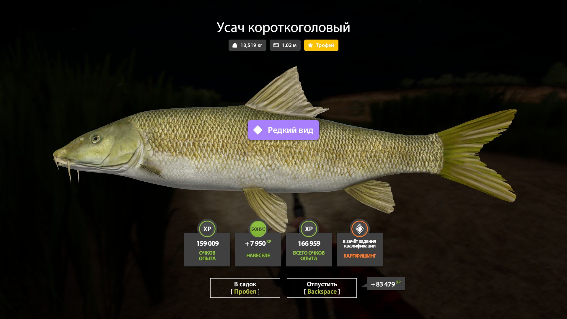 Скриншот точки клева на #трофей_rf4map